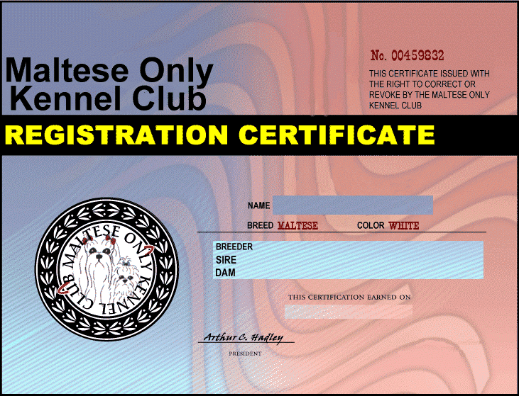 Maltese Registration Certificate