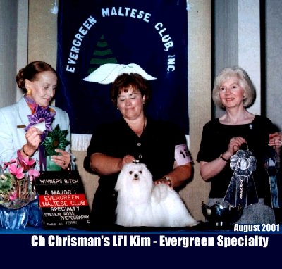 Chrismans Lil Kim Maltese