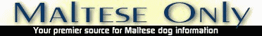 malteseonly.com