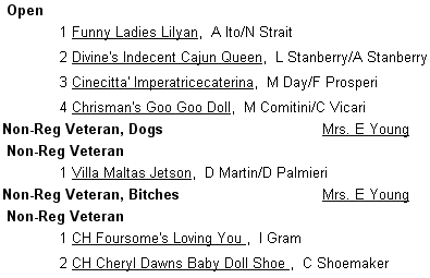 maltese specialty show dogs